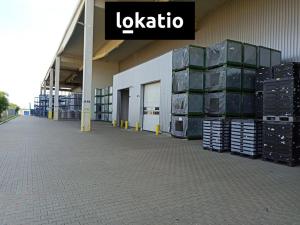 Pronájem skladu, Havraň, 15000 m2