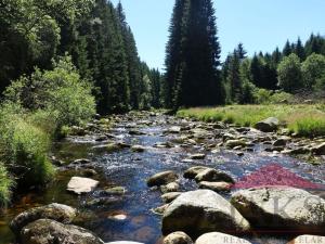 Prodej ubytování, Srní - Vchynice-Tetov I, 539 m2