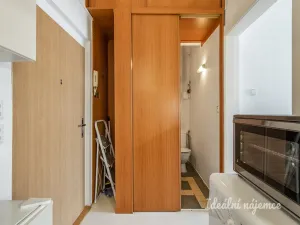 Pronájem bytu 1+kk, Praha - Vinohrady, Na Folimance, 32 m2