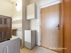 Pronájem bytu 1+kk, Praha - Vinohrady, Na Folimance, 32 m2