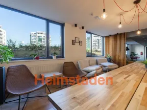 Pronájem bytu 2+1, Plzeň - Jižní Předměstí, Magisterská, 46 m2
