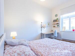 Pronájem bytu 2+kk, Praha - Karlín, Březinova, 45 m2