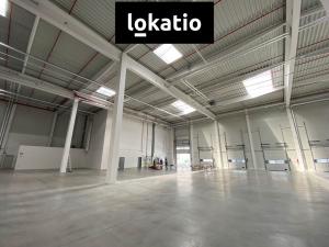 Pronájem skladu, Ostrava - Vítkovice, 4323 m2