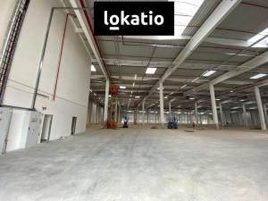 Pronájem skladu, Ostrava - Vítkovice, 14255 m2