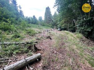 Prodej trvalého travního porostu, Košařiska, 6262 m2