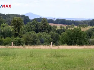 Prodej pozemku pro bydlení, Pertoltice, 4488 m2