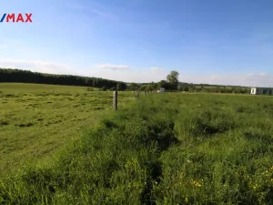 Prodej pozemku pro bydlení, Pertoltice, 4488 m2