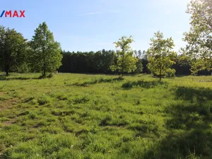 Prodej pozemku pro bydlení, Pertoltice, 4488 m2