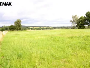 Prodej pozemku pro bydlení, Pertoltice, 4488 m2