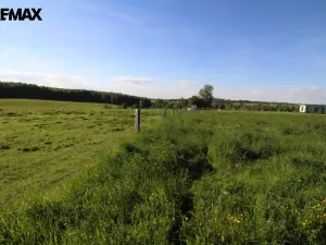 Prodej pozemku pro bydlení, Pertoltice, 4488 m2
