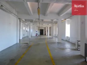 Pronájem výrobních prostor, Opava, 123456 m2