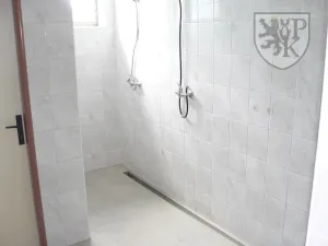 Prodej komerční nemovitosti, Velké Hydčice, 1100 m2