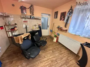 Prodej vícegeneračního domu, Žatec, Tyršova, 417 m2