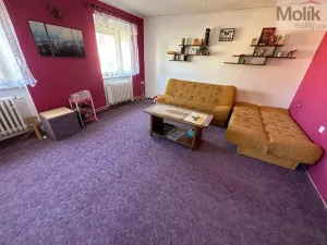 Prodej vícegeneračního domu, Žatec, Tyršova, 417 m2