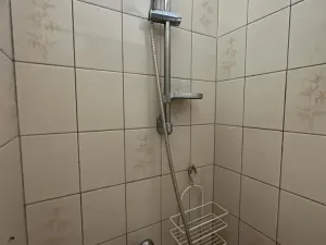 Prodej vícegeneračního domu, Žatec, Tyršova, 417 m2