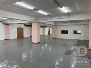 Pronájem výrobních prostor, Jihlava, Pávovská, 595 m2