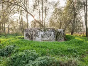 Prodej chaty, Kolešov, 21 m2