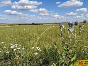 Prodej pozemku pro komerční výstavbu, Znojmo - Mramotice, 8168 m2