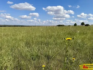 Prodej pozemku pro komerční výstavbu, Znojmo, 27908 m2