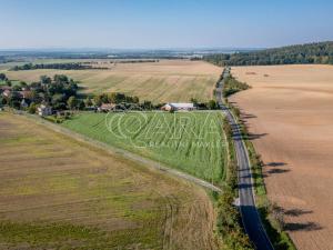 Prodej pozemku pro bydlení, Opočno, 1000 m2