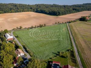 Prodej pozemku pro bydlení, Opočno, 1000 m2