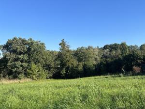 Prodej komerčního pozemku, Třinec - Konská, 1818 m2