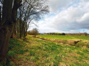 Pronájem pozemku pro bydlení, Zbuzany, Na Návsi, 10000 m2