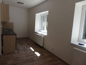 Pronájem bytu 2+kk, Břidličná, Lesy, 37 m2