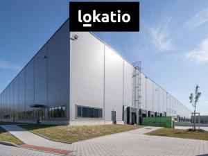 Pronájem skladu, Pardubice, 8000 m2