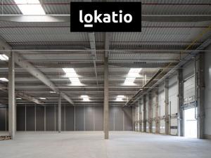 Pronájem skladu, Pardubice, 8000 m2
