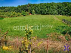 Prodej rodinného domu, Lukoveček, Kříbová, 580 m2