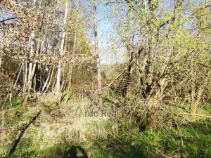 Prodej pozemku pro bydlení, Benešov nad Černou - Hartunkov, 5446 m2