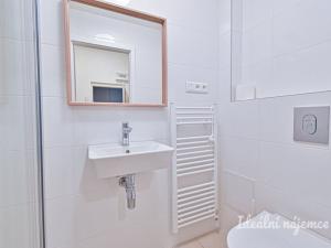 Pronájem bytu 2+kk, Brno, Mrkosova, 33 m2
