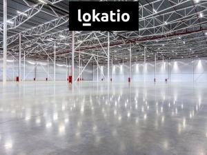 Pronájem skladu, Nýřany, 6000 m2