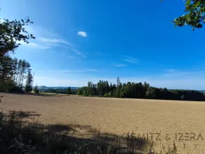 Prodej lesa, Žďár, 233155 m2