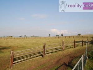 Prodej rodinného domu, Veliká Ves, 1000 m2