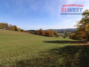 Prodej trvalého travního porostu, Stachy, 15932 m2