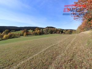 Prodej trvalého travního porostu, Stachy, 15932 m2