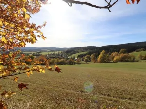 Prodej louky, Stachy, 15932 m2