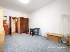 Pronájem bytu 1+kk, Praha - Vinohrady, náměstí Jiřího z Lobkovic, 27 m2