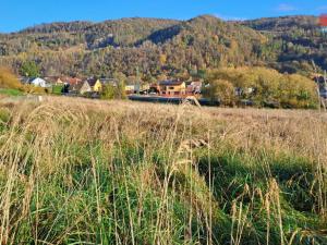 Prodej pozemku pro bydlení, Jakubčovice nad Odrou, 1498 m2