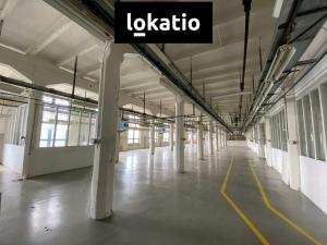 Pronájem skladu, Hrušovany u Brna, 1000 m2