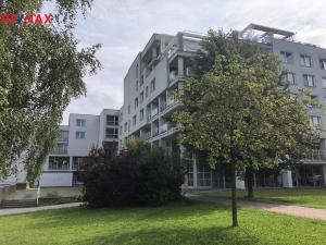 Pronájem obchodního prostoru, Havířov - Město, E. F. Buriana, 311 m2