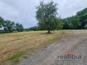 Prodej komerčního pozemku, Brumovice, Mostní, 6000 m2