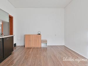 Pronájem bytu 1+kk, Brno - Veveří, Kotlářská, 20 m2