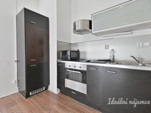 Pronájem bytu 1+kk, Brno - Veveří, Kotlářská, 20 m2