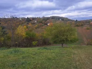 Prodej zahrady, Sivice, 1458 m2