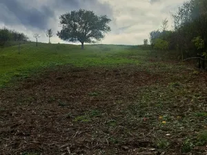 Prodej zahrady, Sivice, 1458 m2