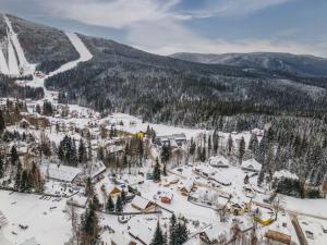 Pronájem bytu 1+kk, Harrachov - Nový Svět, 38 m2