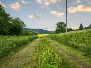 Prodej pozemku, Ohrazenice, 10000 m2